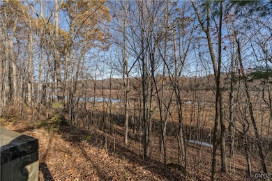 59 Yellow Lake Drive Lpt, Rossie, NY 13679 - photo 6