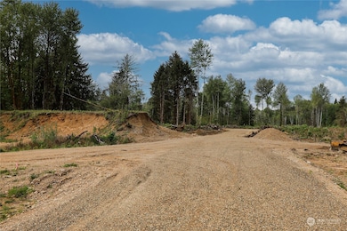 50 Joy Ln unit Lot 5, Humptulips, WA 98552 - photo 3