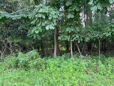 0 N Melchoir Dr unit 202525775, Santa Claus, IN 47579 - photo 3