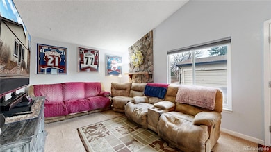 3658 S Laredo St unit E, Aurora, CO 80013 - photo 5