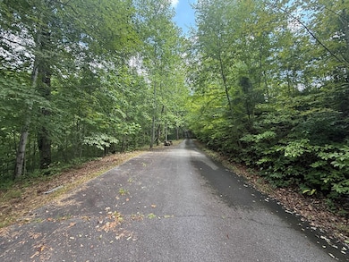 0000 Bethabara View, Hayesville, NC 28904 - photo 2