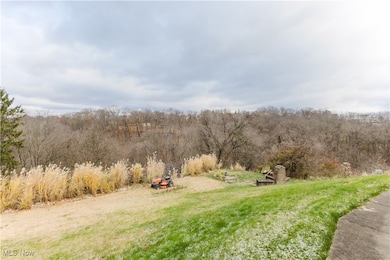 207 Iowa St, Weirton, WV 26062 - photo 3