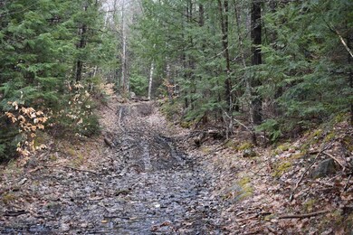 0 E Side Rd unit 4905806, Wentworth, NH 03223 - photo 5