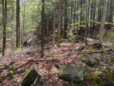 Map 248 lot 001 Hunt Rd E, Plymouth, NH 03264 - photo 5