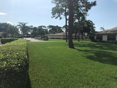 Side Yard1
