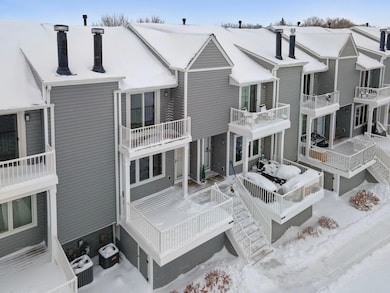 1595 W Wayzata Blvd unit F, Long Lake, MN 55356 - photo 3