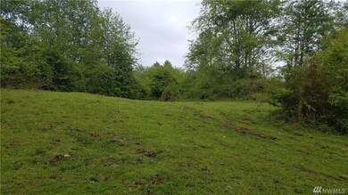 3520 300th St NW, Stanwood, WA 98292 - photo 3