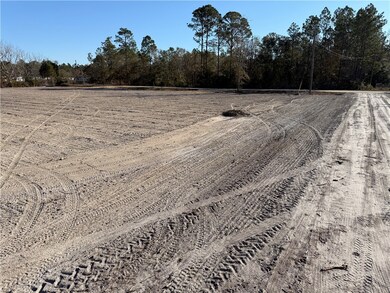 Lot 3 Smith Ln, Waycross, GA 31503 - photo 2