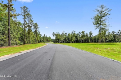 Lot 4 Pine Ridge Ln, Lucedale, MS 39452 - photo 3