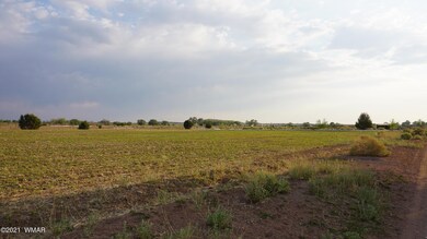 DSC06153
