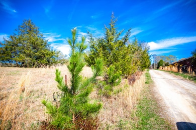 LOT 9 Mistletoe Rd, Appling, GA 30802 - photo 3