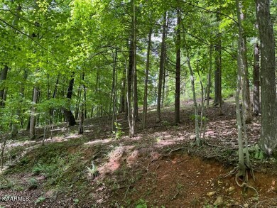 deer run circle david 2