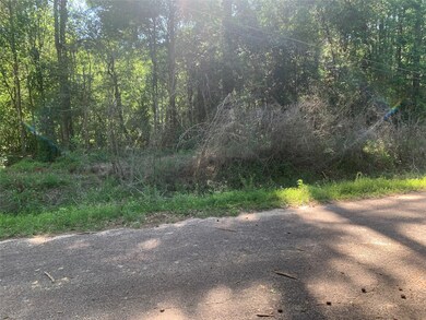 TBD N Lakewood Dr, Splendora, TX 77372 - photo 6