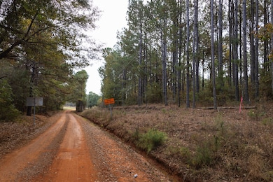 7 Acres Lot D County Road 682, Coffee Springs, AL 36318 - photo 4