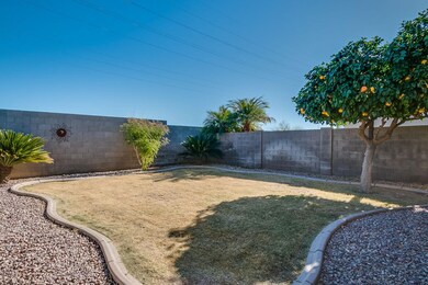Private Yard