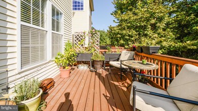 21546 Iredell Terrace, Broadlands, VA 20148 - photo 3