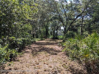 9001 Treiman Blvd, Rdg Mnr Est, FL 33597 - photo 6