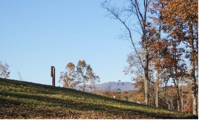 Additional View