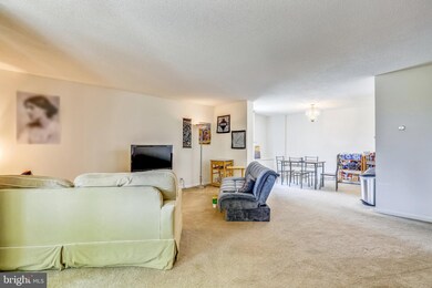 Carrollsburg Condos unit E100, Washington, DC 20024 - photo 6