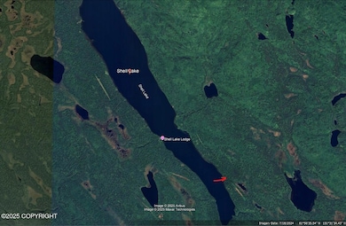 Google Aerial or Shell Lake