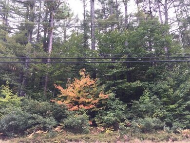 14 Conway Rd, Madison, NH 03849 - photo 2