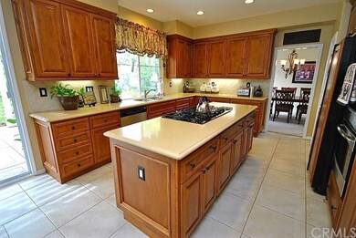 Chef's dream gourmet kitchen