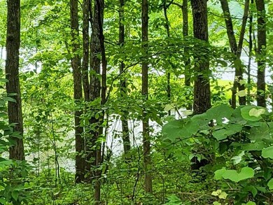 0 Fawn Cir unit RTC2528653, Dunlap, TN 37327 - photo 5