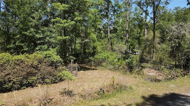 0 NE 108th Ave unit MFRGC522398, Waldo, FL 32694 - photo 6