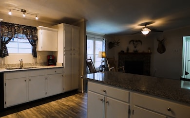 651 New Hope Rd, Ellijay, GA 30540 - photo 4