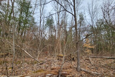Hoffman Lot c 1