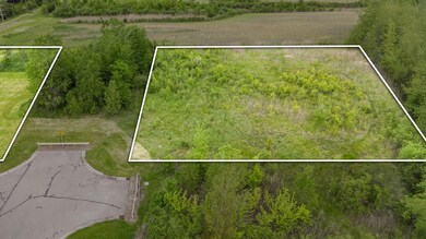 05-DJI_20250518172010_0219_D (1)