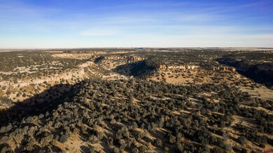 000 County Road 40 2 unit Poitry Canyon Ranch, Branson, CO 81027 - photo 3