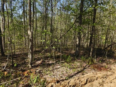 901 Ben Baker, Somerset, KY 42501 - photo 4