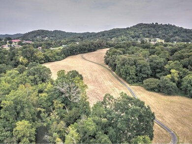 121 S 9th St, Watauga, TN 37694 - photo 5