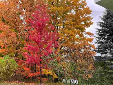 9030 Sugar Tree Ln, Charlevoix, MI 49720 - photo 6