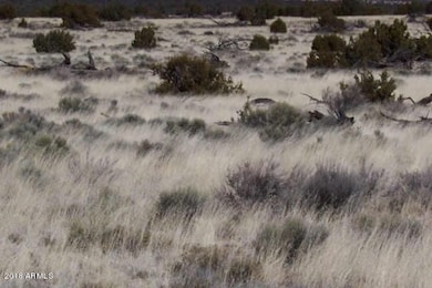 close up at vacant land