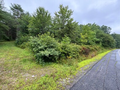 M12 L15-8 Augusta Rd, West Bowdoin, ME 04287 - photo 5