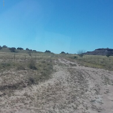 carrizo.317.f