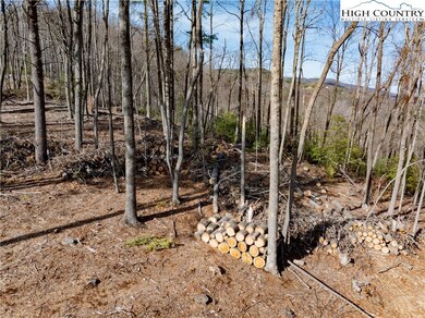 Lot 65 Angelfire Trail, Deep Gap, NC 28618 - photo 6
