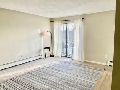 180B River St unit 5, Waltham, MA 02453 - photo 3
