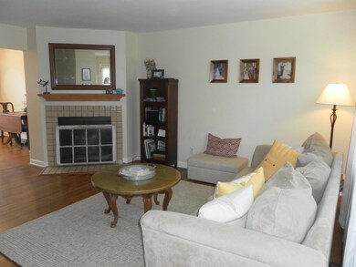 Living Room Fireplace View