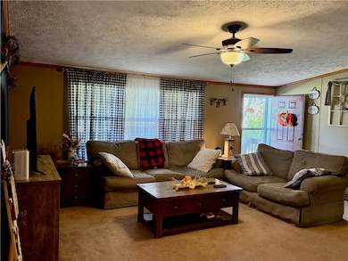 220 S East St, Watson, IL 62473 - photo 7