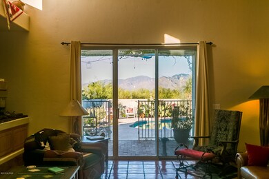 Paddock-8