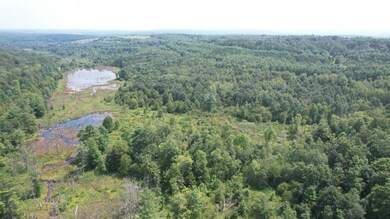 0, Osceola Mills, PA 16666 - photo 6