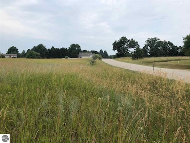 1003/1005 Pyrenees Dr, Lake Isabella, MI 48893 - photo 4