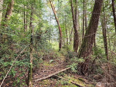 0 Yashi Rd unit NWM2428983, Brinnon, WA 98320 - photo 7