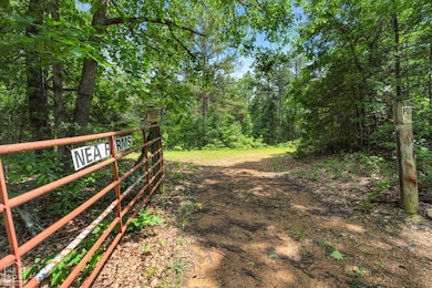 40 Bruce Mitchell Rd, Ravenden Spring, AR 72460 - photo 2