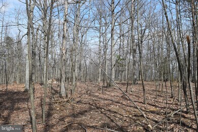 0 Lower View Rd unit VAWR136872, Strasburg, VA 22657 - photo 6