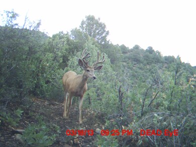 6218 Oak Park Dr unit 25, Trinidad, CO 81082 - photo 4