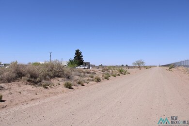0 Coyote Rd Sw Deming Ranchettes Unit 44 unit 20222356, Deming, NM 88030 - photo 4